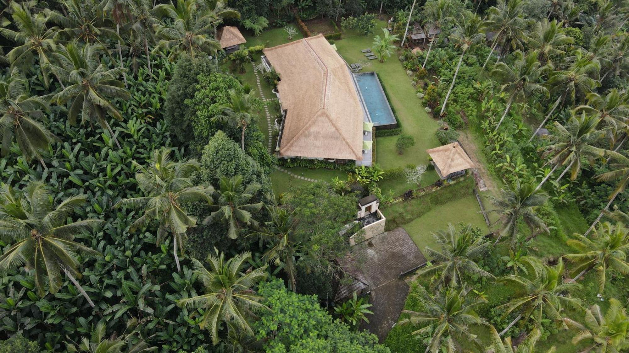 Villa Themma Jungle - Sumptuous 3Br Luxury Villa With Majestic Jungle View North Of Ubud Exterior photo