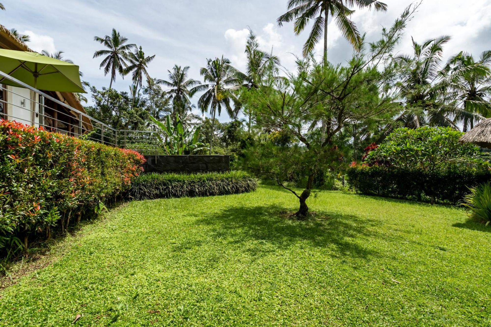 Villa Themma Jungle - Sumptuous 3Br Luxury Villa With Majestic Jungle View North Of Ubud Exterior photo