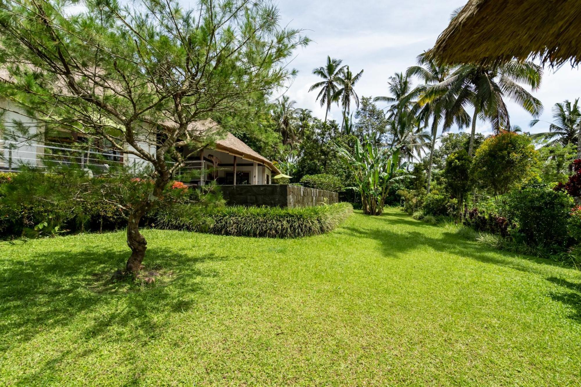 Villa Themma Jungle - Sumptuous 3Br Luxury Villa With Majestic Jungle View North Of Ubud Exterior photo
