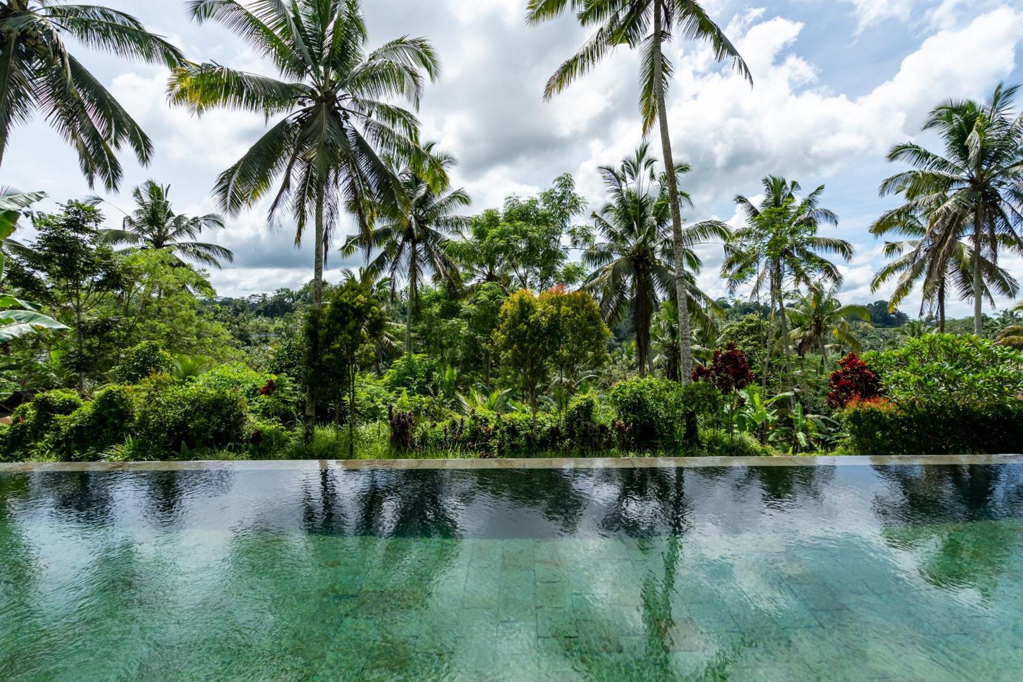 Villa Themma Jungle - Sumptuous 3Br Luxury Villa With Majestic Jungle View North Of Ubud Exterior photo